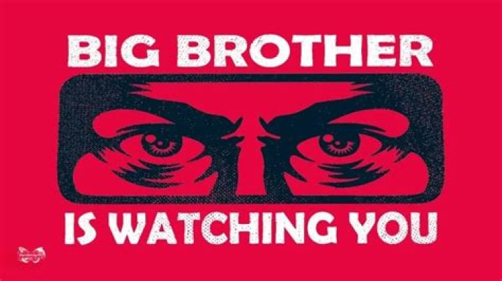 big-brother-2