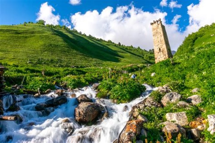 georgia