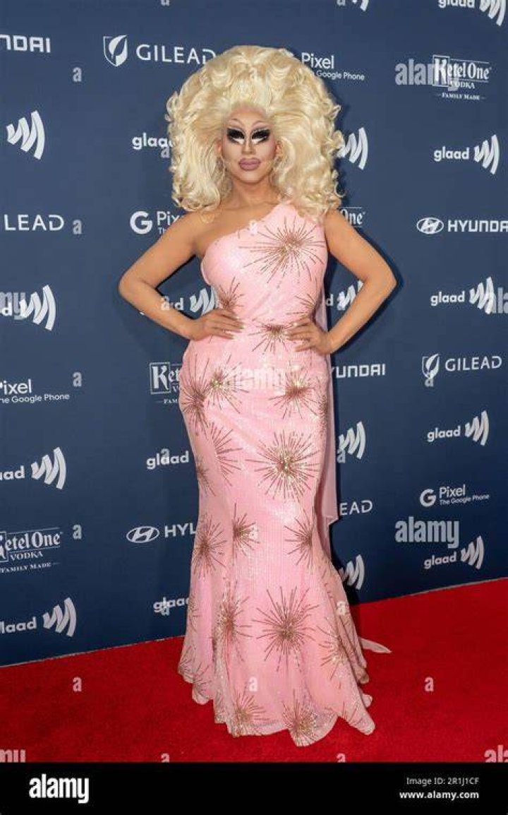 GLAAD Media Awards 2017 Red Carpet — PICS