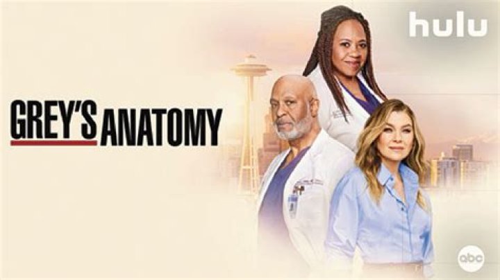Greys Anatomy Ben Suspended