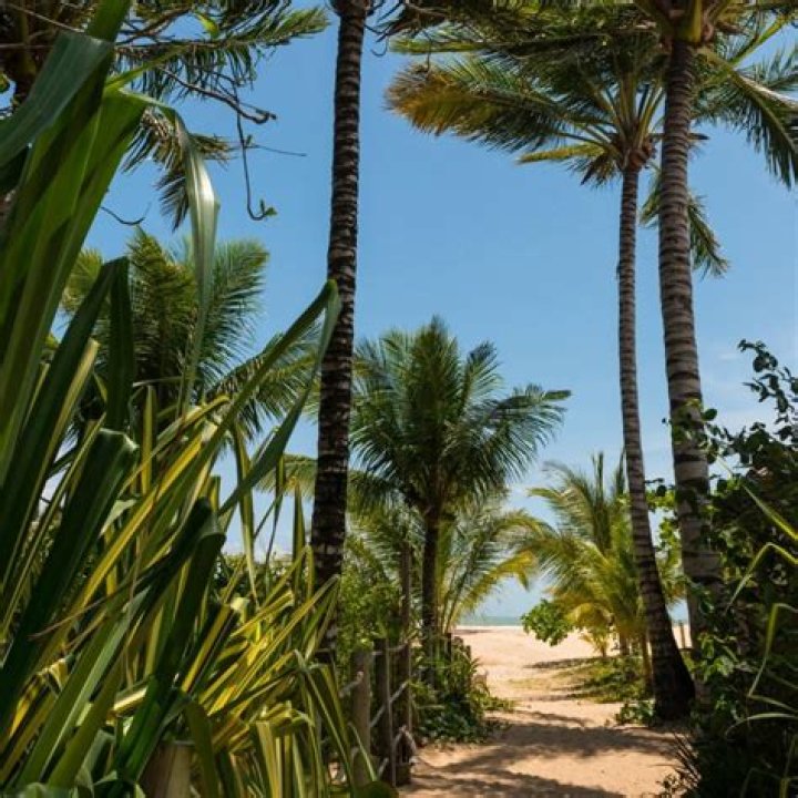 Trancoso, BRAZIL - *EXCLUSIVE* - After being engaged since 2019 Lais Ribeiro and Joakim Noah finally tie the knot in front of friends and family on the beach in Trancoso, Brazil. Celebrity guests include Derrick Rose, Sara Sampaio, and Alaina Anderson. Pictured: Joakim Noah, Lais Ribeiro BACKGRID USA 13 JULY 2022 BYLINE MUST READ: DESI / BACKGRID USA: +1 310 798 9111 / UK: +44 208 344 2007 / *UK Clients - Pictures Containing Children Please Pixelate Face Prior To Publication*