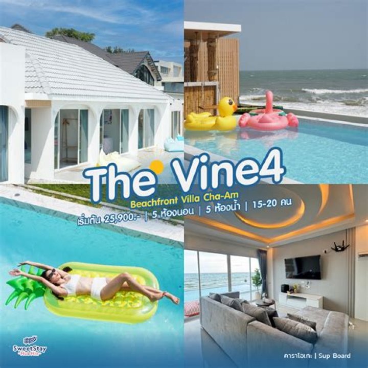 vine4